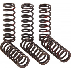 CLUTCH SPRING CRF450R - 11313719 | Dr Rider