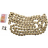 CHAIN RK420MXZ GG 110C - RK420MXZ110 - Dr Rider