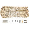 CHAIN PROX520XMX GG 120C - 12310892 - Dr Rider