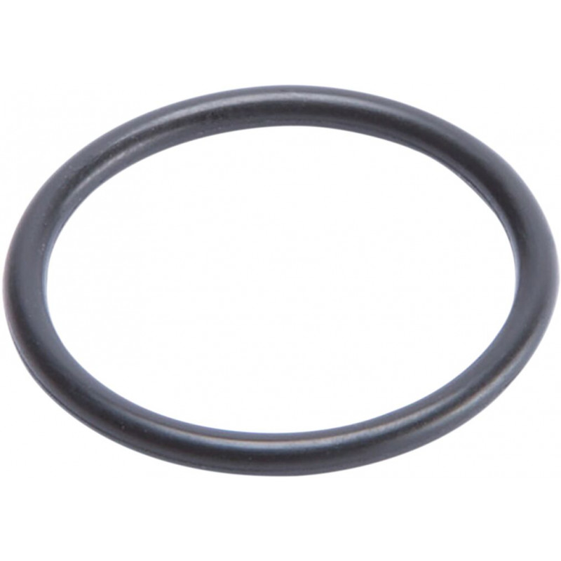 O RING COMP ADJUSTER PIST - 13140512 - Dr Rider