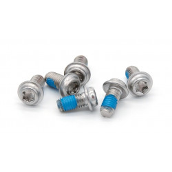 6 BOLTS PACK M5X10 FOR DISCS  - 17112254 - Dr Rider