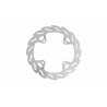 BRAKE DISC FLAME REAR - 17110186 - Dr Rider