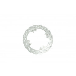 BRAKE DISC FLAME REAR - 17110771 - Dr Rider