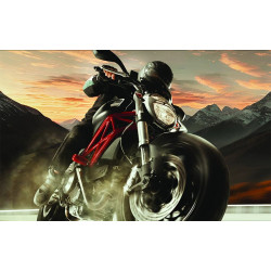 BRAKE DISC FIX FR - 17105032 - Dr Rider