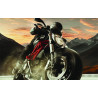BRAKE DISC FIX FR - 17105032 - Dr Rider