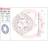 BRAKE DISC FIX RR - 17105132 - Dr Rider