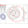 BRAKE DISC FIX RR - 17105153 - Dr Rider