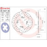 BRAKE DISC FIX RR - 17105164 - Dr Rider
