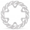 BRAKE DISC FLAME REAR - 17101181 - Dr Rider