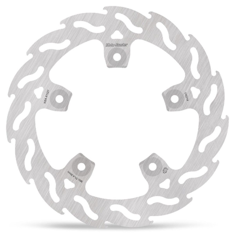 BRAKE DISC FLAME REAR - 17101846 - Dr Rider