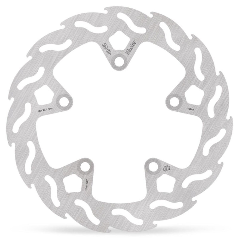 BRAKE DISC FLAME REAR - 17101853 - Dr Rider