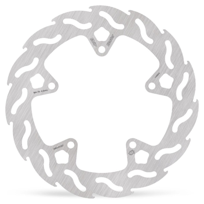 BRAKE DISC FLAME REAR - 17102498 - Dr Rider