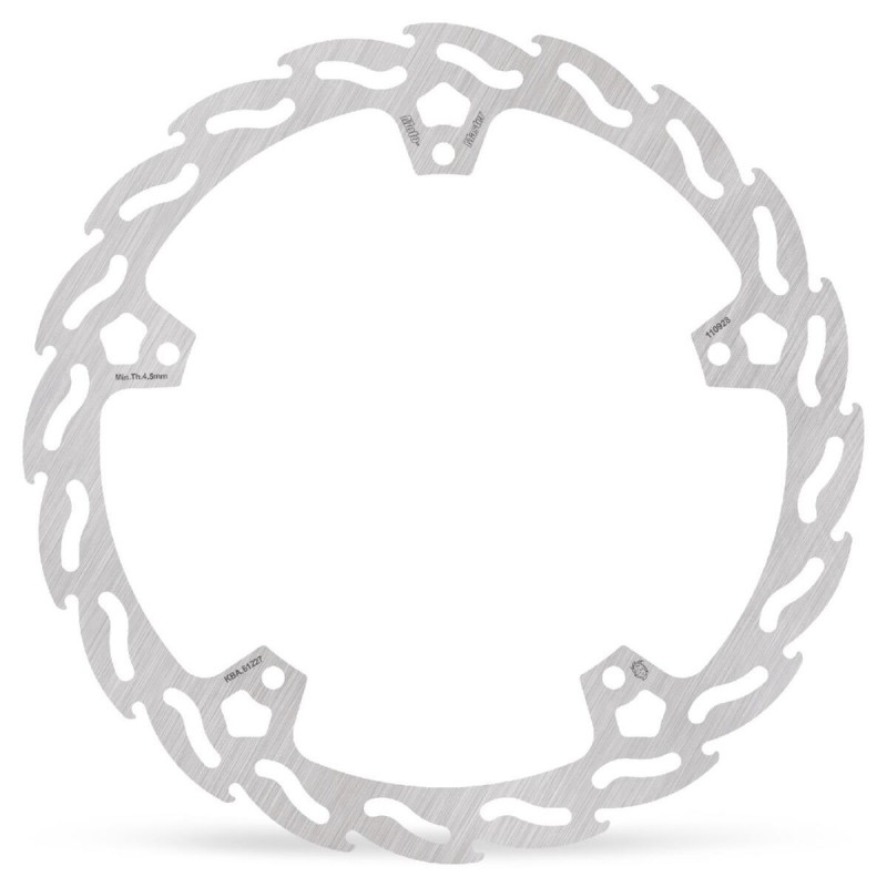 BRAKE DISC FLAME FRONT R - 17104618 - Dr Rider