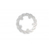 BRAKE DISC FLAME REAR - 17104621 - Dr Rider