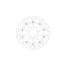 BRAKE DISC FLAME FRONT - 17104858 - Dr Rider