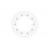 BRAKE DISC FLAME FRONT - 17104862 - Dr Rider