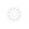 BRAKE DISC FLAME FRONT - 17104863 - Dr Rider