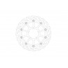 BRAKE DISC FLAME FRONT - 17104864 - Dr Rider