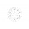 BRAKE DISC FLAME RACING FT L - 17104866 - Dr Rider