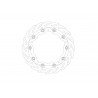 BRAKE DISC FLAME RACING FT L - 17104867 - Dr Rider