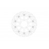 BRAKE DISC FLAME RACING FT L - 17104868 - Dr Rider