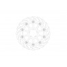 BRAKE DISC FLAME RACING FT R - 17104870 - Dr Rider
