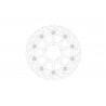BRAKE DISC FLAME RACING FT R - 17104871 - Dr Rider