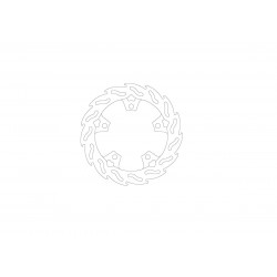 BRAKE DISC FLAME REAR - 17104872 - Dr Rider
