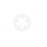 BRAKE DISC FLAME REAR - 17104872 - Dr Rider
