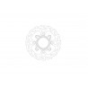 BRAKE DISC FLAME REAR - 17104873 - Dr Rider