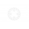 BRAKE DISC FLAME REAR - 17104874 - Dr Rider