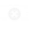BRAKE DISC FLAME REAR - 17104875 - Dr Rider