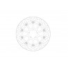 BRAKE DISC HALO RACING FT  - 17104883 - Dr Rider