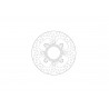 BRAKE DISC HALO REAR - 17104887 - Dr Rider