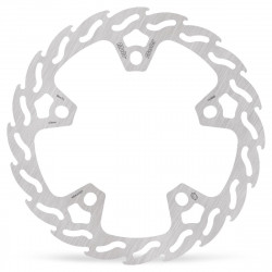 BRAKE DISC FLAME FRONT PAN AME - 17104902 - Dr Rider