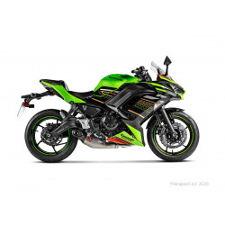 EXHAUST RAC SS/TI Z650 - 18102770 | Dr Rider