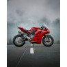EXHAUST EVO PANIGALE V2 - 18103334 | Dr Rider