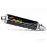 MUFFLER CF/CF K1200R/S - 18112976 | Dr Rider