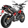 MUFFLERS TI SHIVER 900 - 18113512 | Dr Rider
