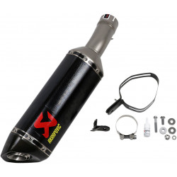 MUFFLER CF BMW S1000RR 19 - 18113738 | Dr Rider