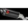 MUFFLER CF RSV4/TUONO 21 - 18114238 | Dr Rider