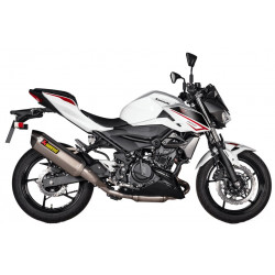 MUFFLER TI/CF NINJA 400 - 18114372 | Dr Rider