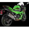 MUFFLER SLIP-ON TITANIUM NINJA - 18114687 | Dr Rider