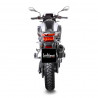 MUFFLER LV-14 BMW F 750/800/85 - 18114828 - Dr Rider