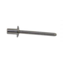 RIVET SS LONG D4 8x12 CLEAR - 18601405 | Dr Rider