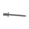 RIVET SS LONG D4 8x12 CLEAR - 18601405 | Dr Rider