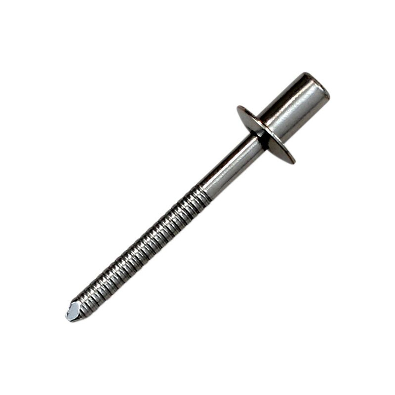 RIVET SS D4 8x8 CLEAR - 18601779 | Dr Rider