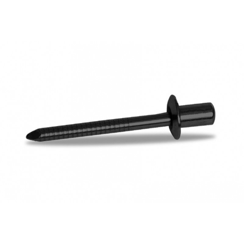 Rivet inox noir Akrapovic - Dr Rider