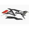 RADIATOR GUARDS HONDA CRF450 2 - 19010969 - Dr Rider