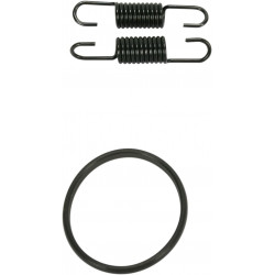 SPRING/ORING KIT RM125 - FMF011313 | Dr Rider